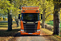 23136-010.tif