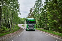 26064-009.tif