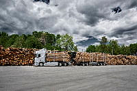 25127-012.tif