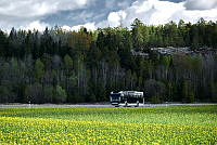 25091-013.tif