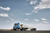 23034-041.tif