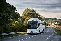 25239-046.tif