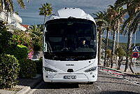 25239-013.tif
