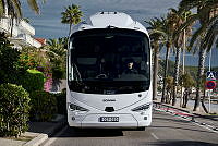 25239-013.tif