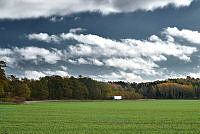 24215-010.tif