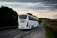 25239-051.tif